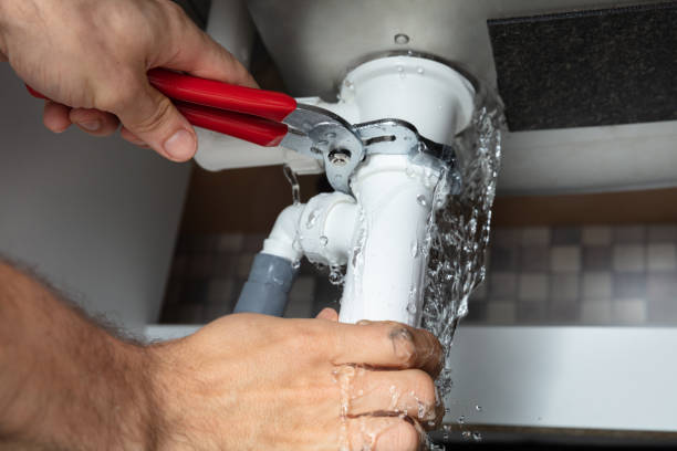 Best Mold removal after water damage  in Ranchester, WY