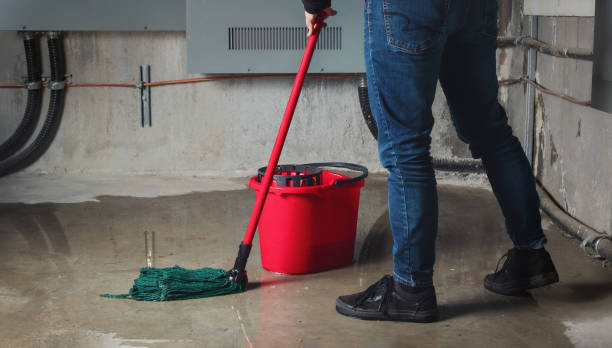 Best Carpet water damage restoration  in Ranchester, WY