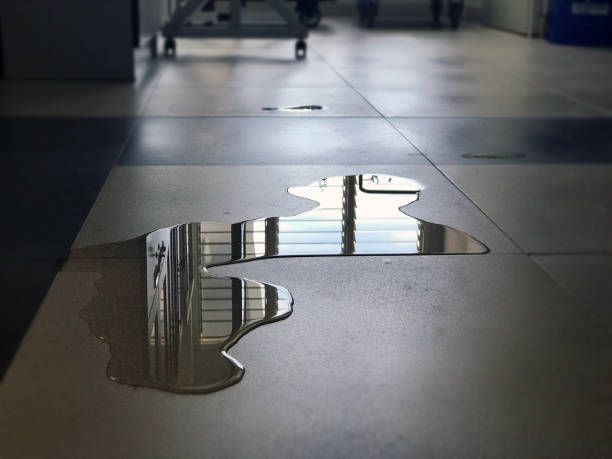 Best Water damage restoration near me  in Ranchester, WY