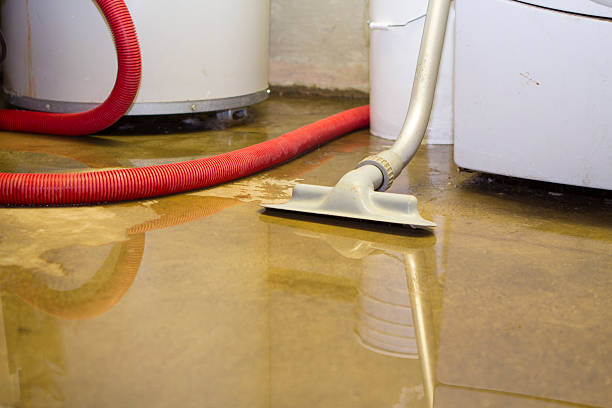 Best Flooded house restoration  in Ranchester, WY