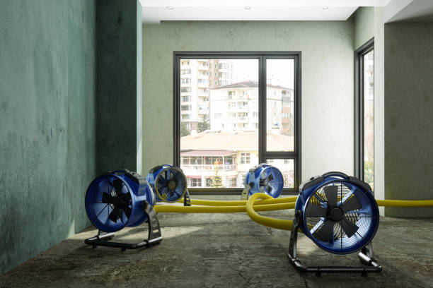 Best Commercial water damage restoration  in Ranchester, WY